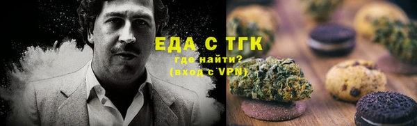 крисы Абаза