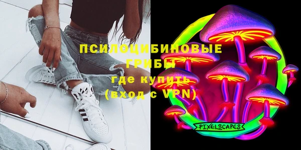крисы Абаза
