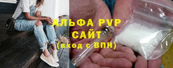 крисы Абаза