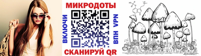 купить наркотик  МЕГА как войти  Псилоцибиновые грибы MAGIC MUSHROOMS  Приволжск 